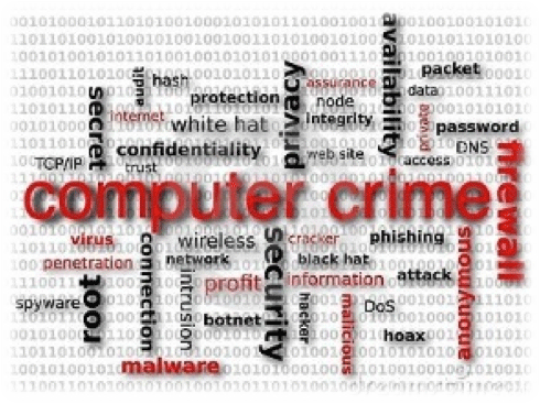 Computer Crime