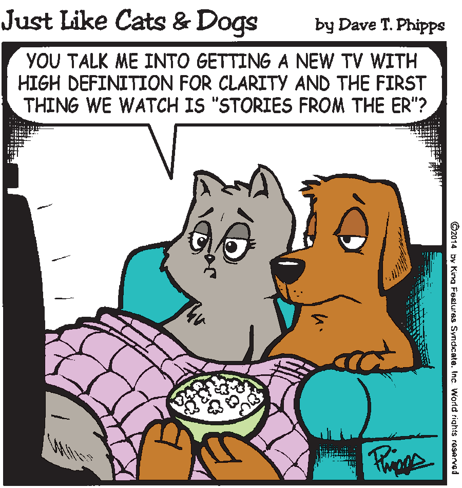 Cats and Dogs cartoon
