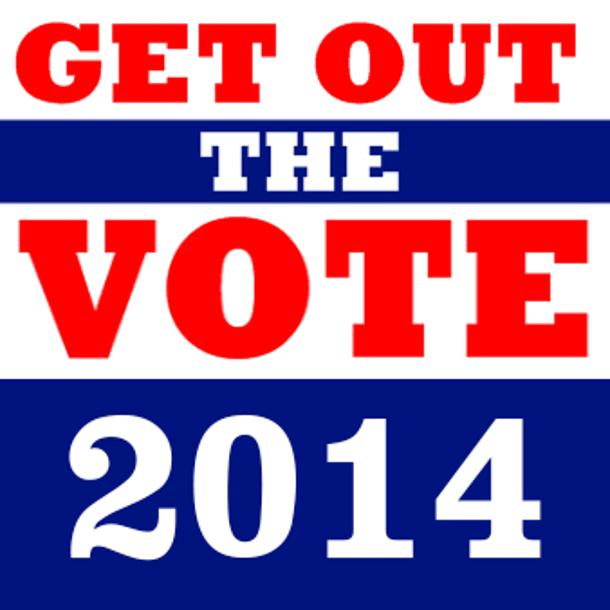 Get Out the Vote 2014