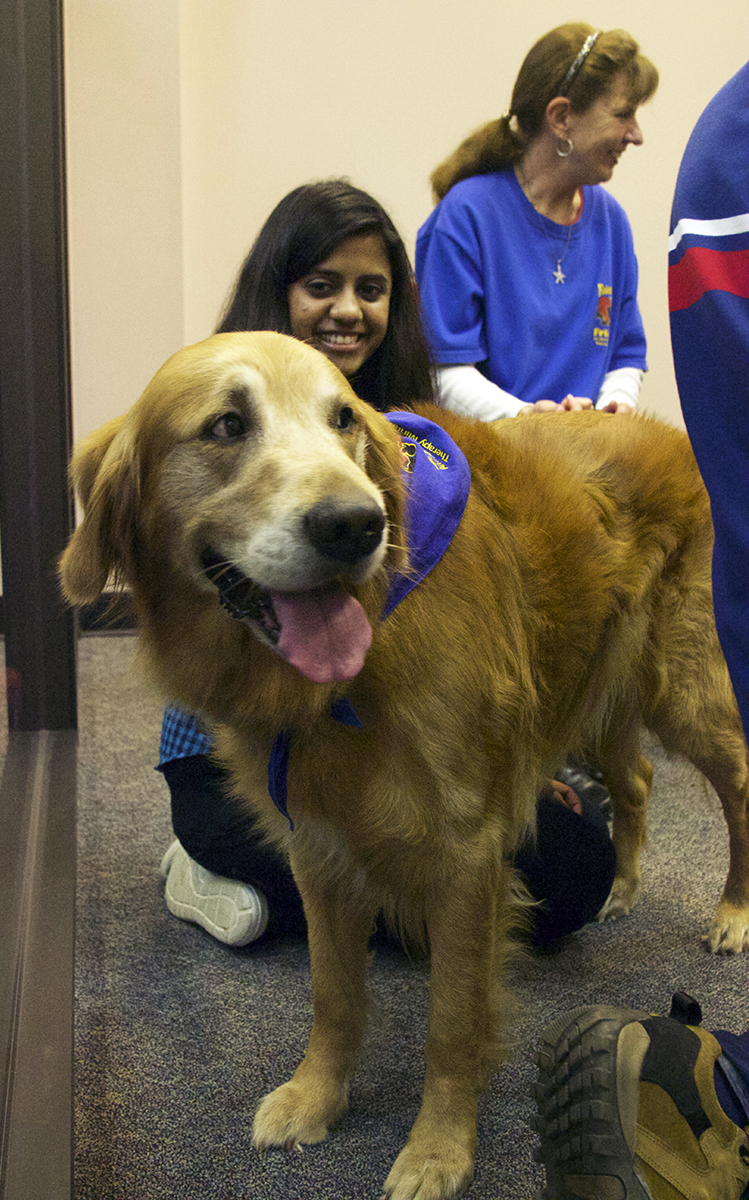 UHCL student interacts with Beau the Golden Retriever.