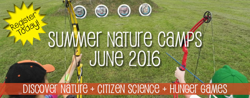 Image: The Environmental Institute of Houston is offering exciting summer camps for your 1st – 8th grader on campus!