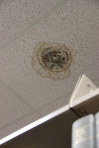Large water stain on library ceiling. Photo by The Signal Reporter Amethyst Gonzalez.