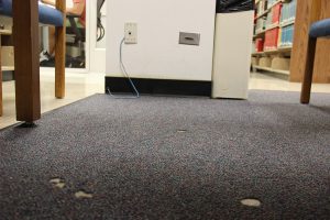 Several holes in the carpet in front of a loose wire in the library. Photo by The Signal Reporter Amethyst Gonzalez.