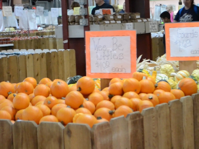 Photo: Local produce at Froberg Farm and Country Store in Alvin, TX. Screenshot by The Signal reporter Kate Gaddis.
