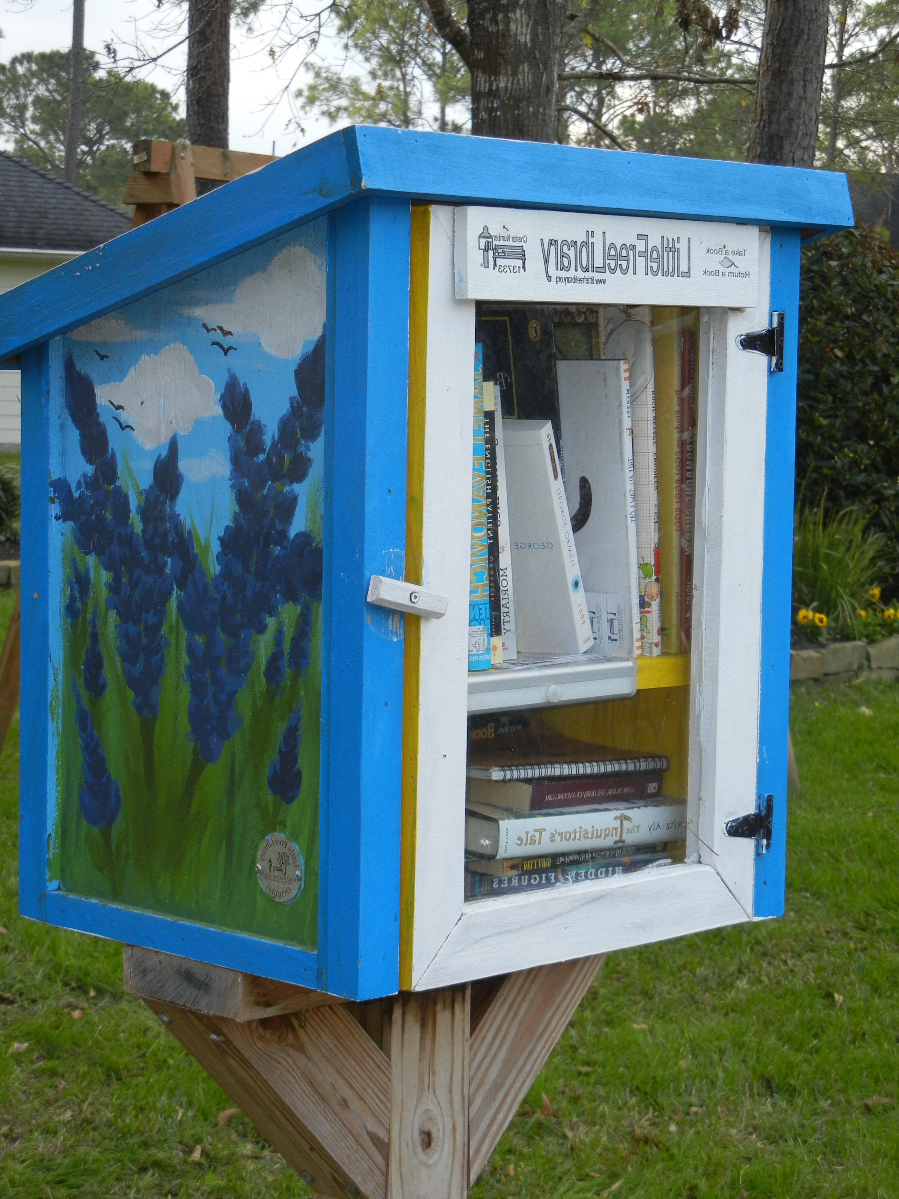 PHOTO: The Little Free Library located in Friendswood, TX is one of the micro libraries being installed in the Houston area. Photo by The Signal reporter, Robin Timme.