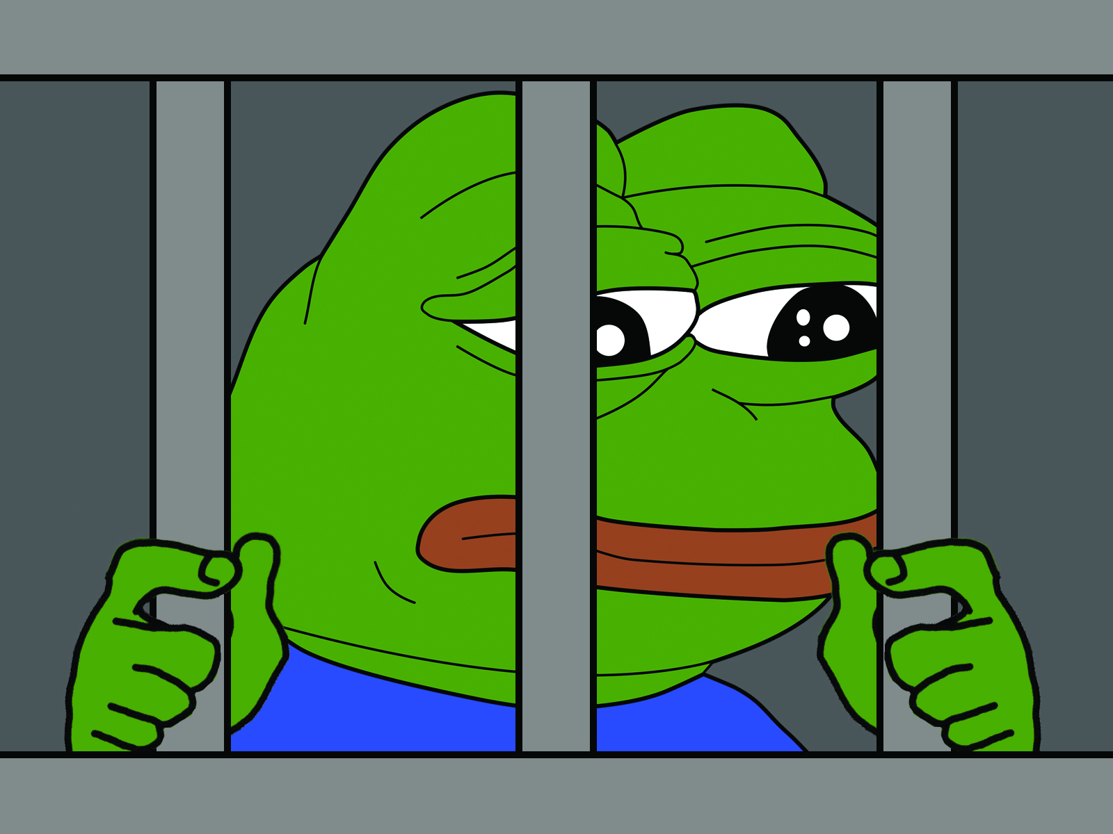 Graphic: Pepe the Frog has been edited into a jail cell. Graphic by The Signal reporter Krista Kamp.
