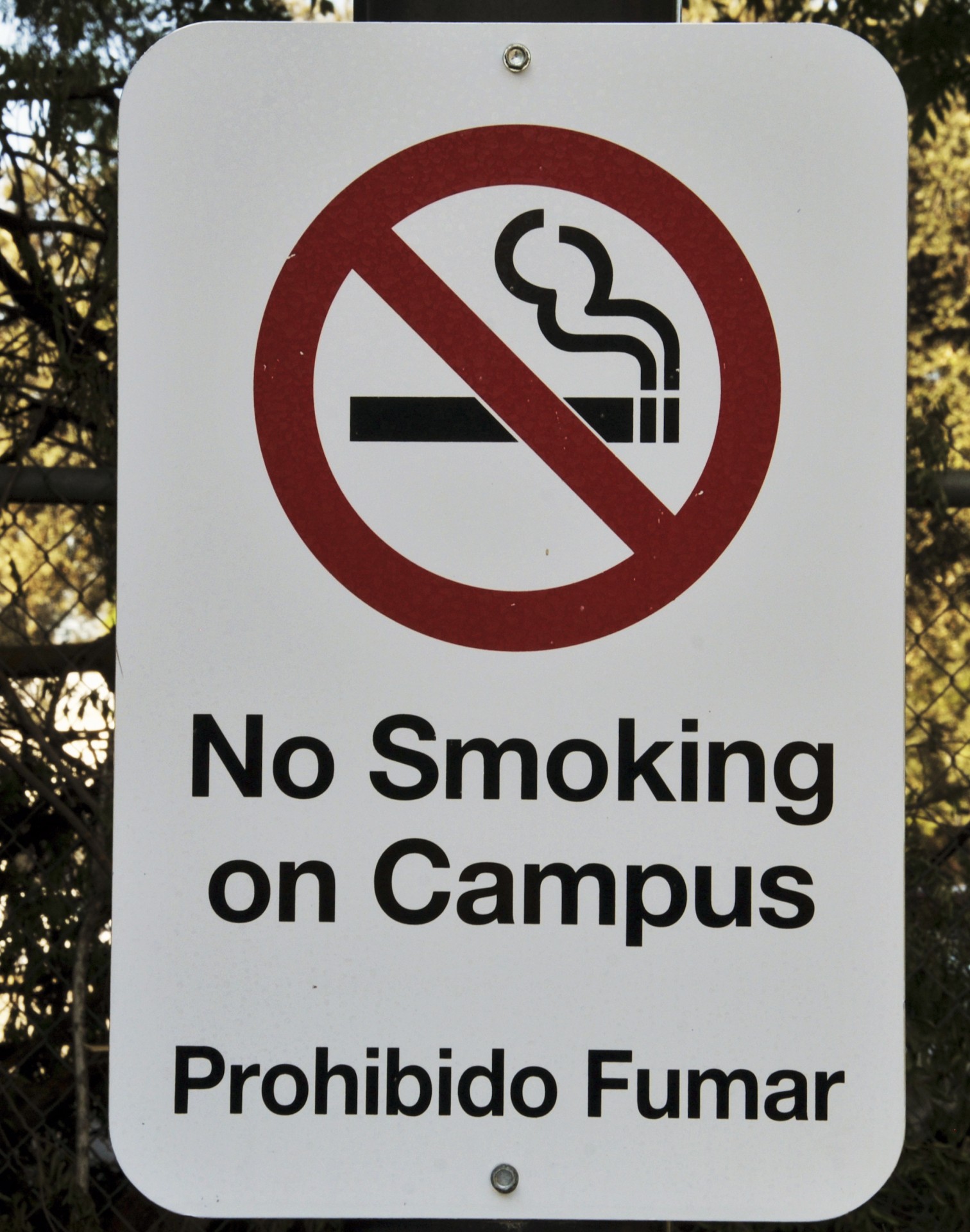 No smoking on campus sign. Photo courtesy of publicdomainpictures.net.