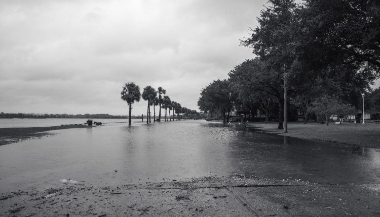 PHOTO: Upper Bay Road submerged in flood waters in Nassau Bay, TX. Photo by Audience Engagement Coordinator Regan Bjerkeli.