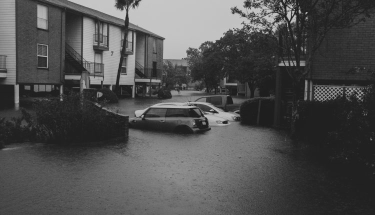 PHOTO: Cars submerged in flooded condominium parking lot after Hurricane Harvey. Photo by Audience Engagement Coordinator Regan Bjerkeli.