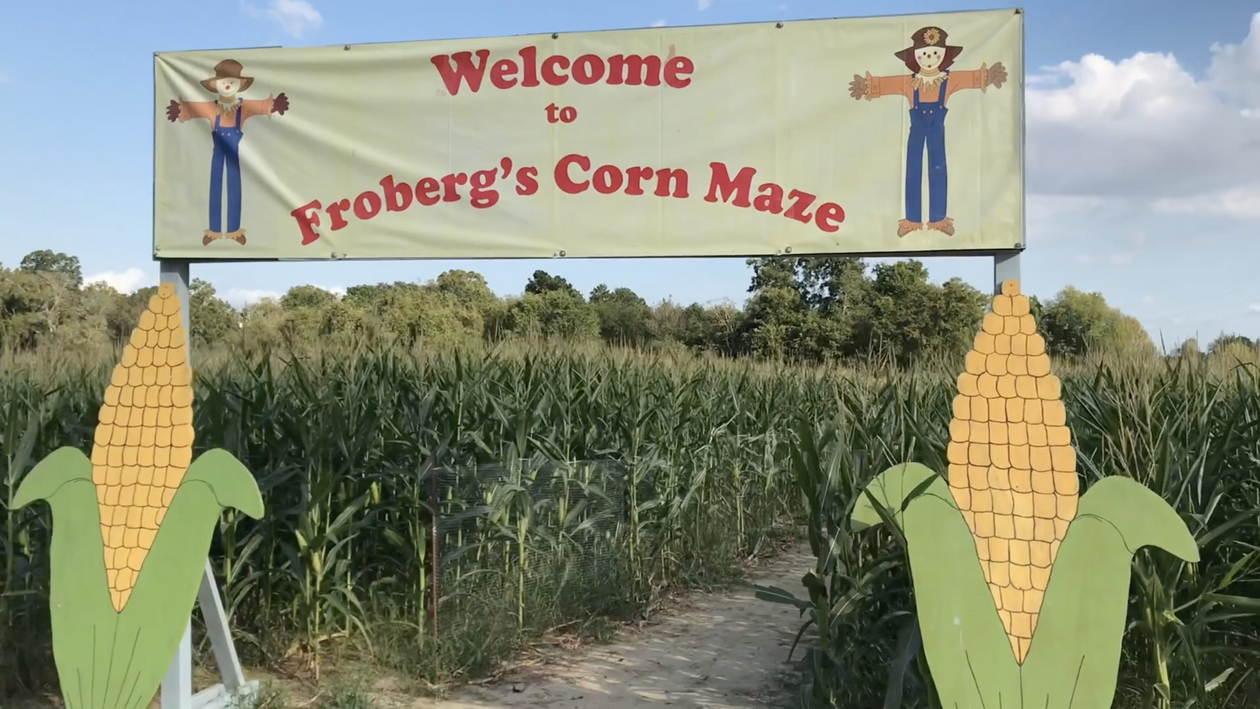 SCREENSHOT: At Froberg's Farm, the Corn Maze is one of the biggest attractions. This is the entrance to the six acre corn maze. Screenshot by The Signal reporter Alex Petty.