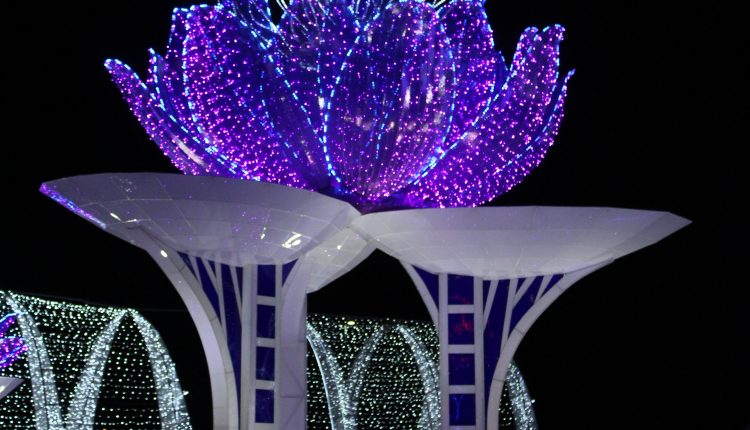 PHOTO: A brightly lit lotus tower displayed at the Magical Winter Lights attraction. Photo by The Signal reporter Bianca Salazar. 