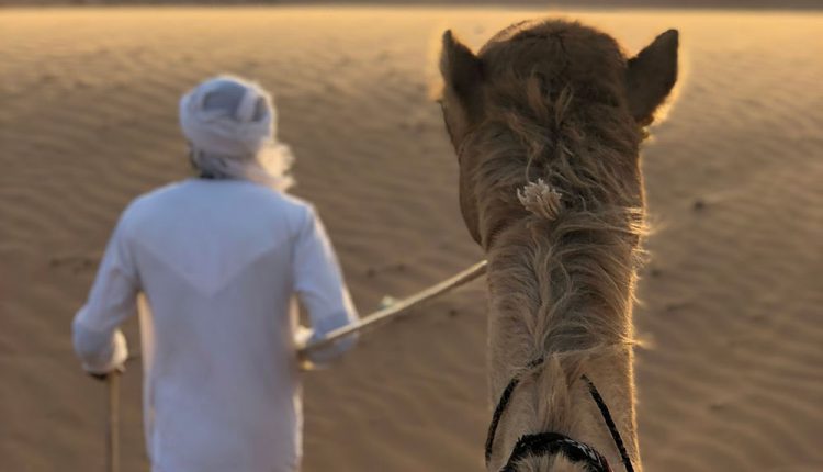 PHOTO: Students ride camels in the Wahiba Sands of Oman. Photo courtesy of Carolyn Toombs, graduate sociology major.