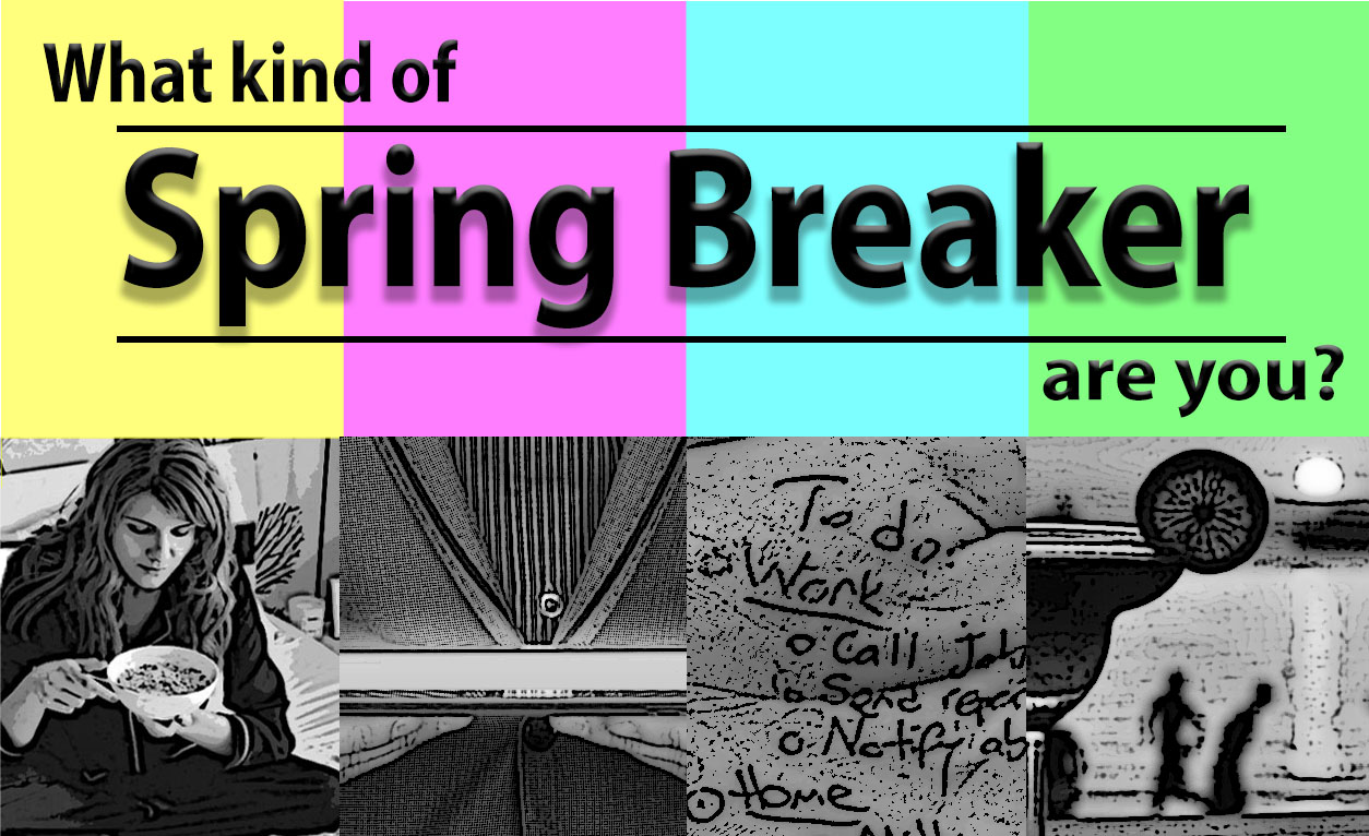 What kind of Spring Breaker are you quiz graphic. Photo by The Signal reporter Kathryn King.