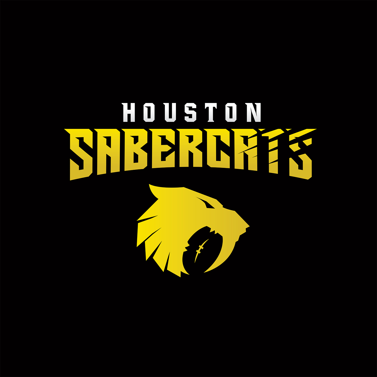 PHOTO: Houston SaberCats logo