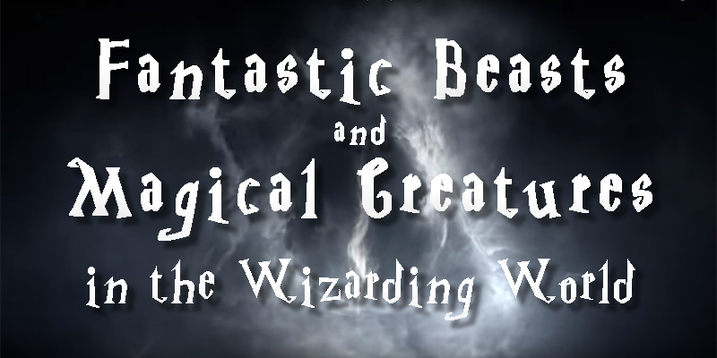 GRAPHIC: A headline introduces fantastic beasts and magical creatures in the wizarding world. Graphic created by The Signal reporter Nhu Tran.