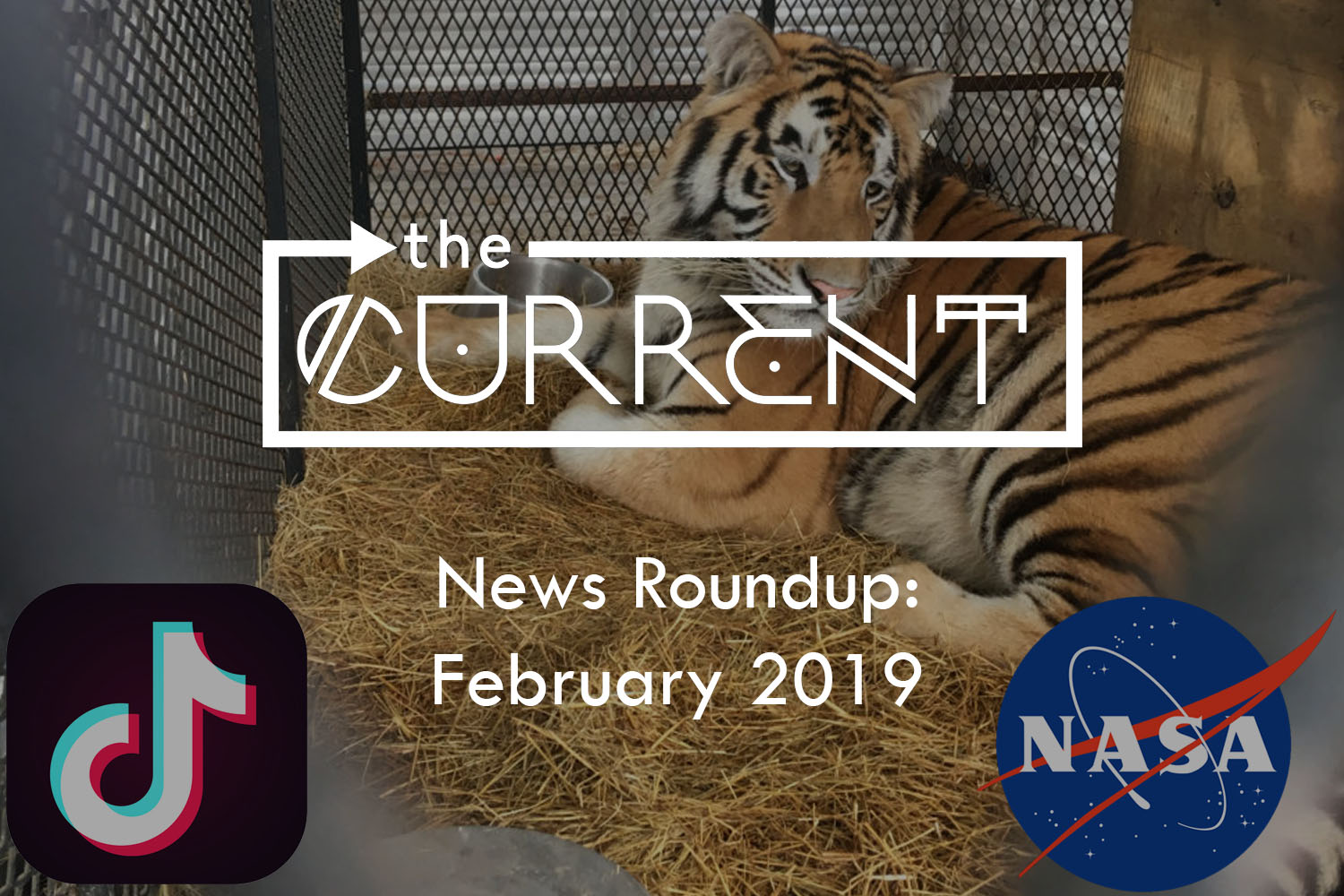 GRAPHIC: Image features the tiger found in a southeast Houston home in transport to an animal sanctuary and the logos of TikTok and NASA. Text reads "The Current - News Round up: Febrary 2019. Graphic created by Trey Blakely and The Signal Online Editor Alyssa Shotwell.