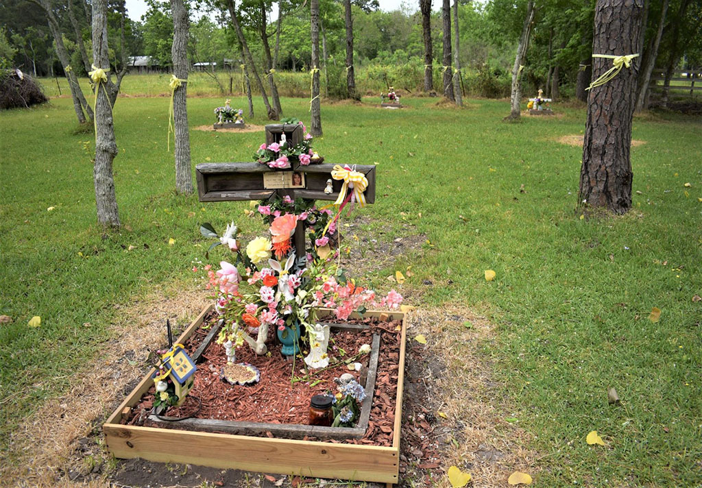 PHOTO: Memorial site for the four women found on Calder Road. Four crosses adorned with flowers mark the spot on the ground where the victims were found. Photo by The Signal reporter Agueda Jimenez.