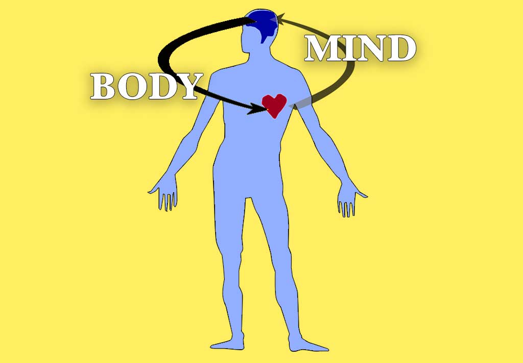 GRAPHIC: A body outstretched with the words "body" and "mind" connected by two arrows pointing to the heart and brain. There are healthy lifestyle choices one can make to improve one's mental and physical health. Graphic by The Signal reporter, Ashley Alaniz.