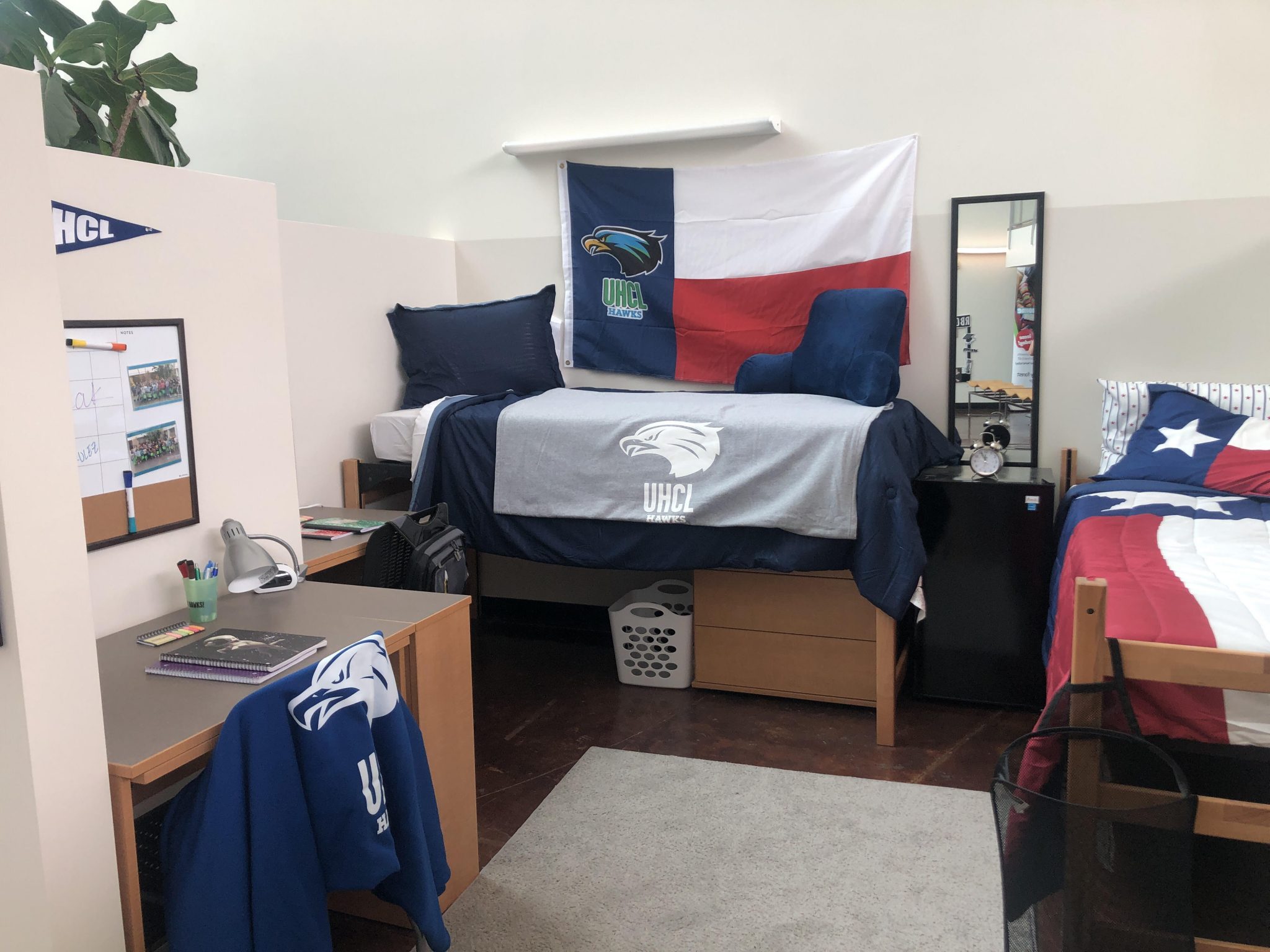 PHOTO: New Resident Hall layout. Pictured is the room's features for the upcoming residents hall at UHCL. Photo by The Signal reporter Erica Honore
