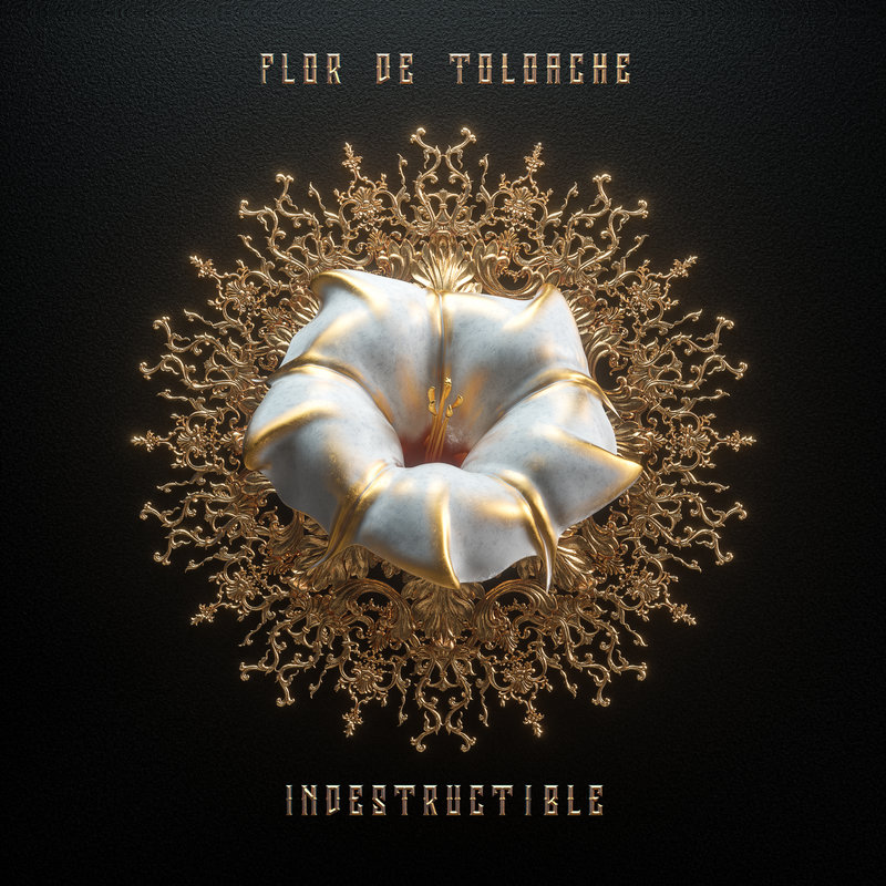 GRAPHIC: The "Indestructible" album cover features a porcelain white rose with gold accents centered over over an ornate gold circle. The gold text reads "Flor De Toloache" and "Indestructible" over an all black background. Graphic courtesy of artist Billie Elis.