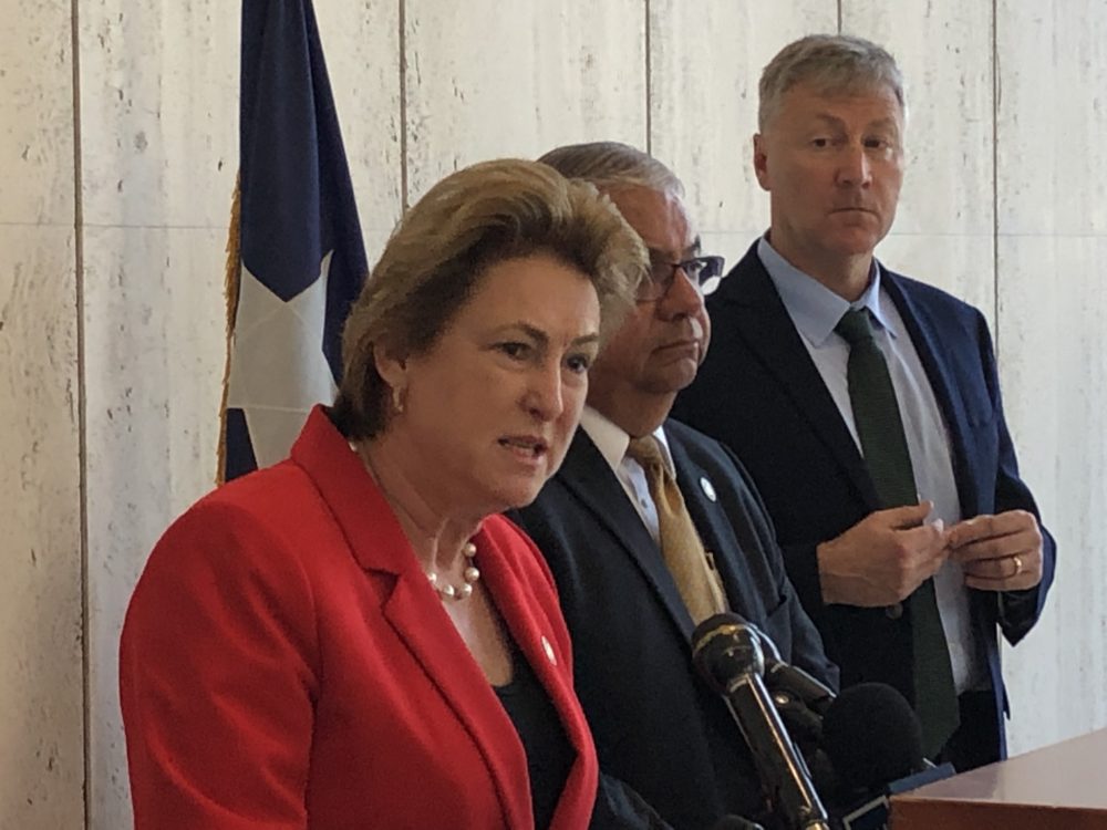 PHOTO: Harris County District Attorney Kim Ogg speaking at a press conference. Image courtesy of Andrew Schneider and Houston Public Media. Source: https://cdn.hpm.io/wp-content/uploads/2019/04/16163427/Kim-Ogg-3-1000x750.jpg