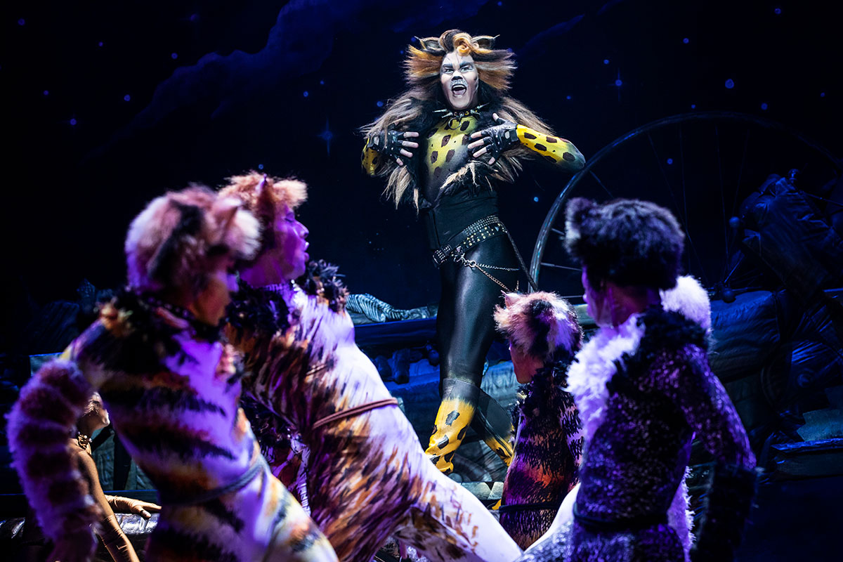 PHOTO: McGee Maddox as Rum Tum Tugger in "Cats." Photo by Matthew Murphy; courtesy of Broadway Across America.