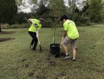 PHOTO: Left to right: Christina Simcox, literature major, and Christian Hill, information tech major, working together to dig a hole to plant a tree. Photo by The Signal reporter Joshua Valdez.