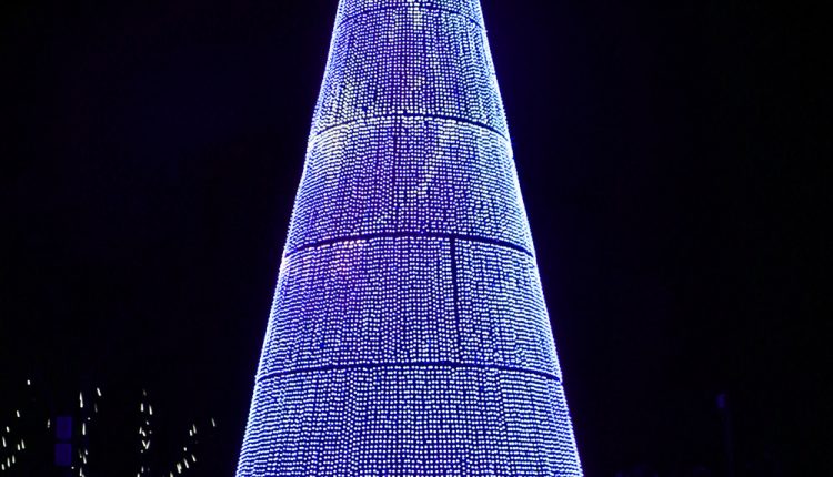 PHOTO: A person sits in front of a giant blue Christmas tree lighting display. Photo by The Signal reporter Emily Dundee.