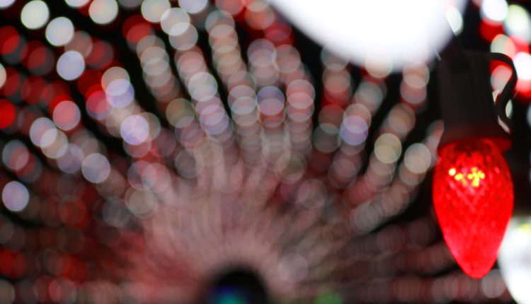 PHOTO: A single Christmas light bulb is in focus with blurry red and white lights in the background. Photo by The Signal reporter Emily Dundee.