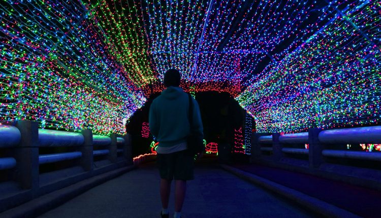 PHOTO: Guest walks through a colorful Christmas lights tunnel at Moody Gardens. Photo by The Signal reporter Emily Dundee.