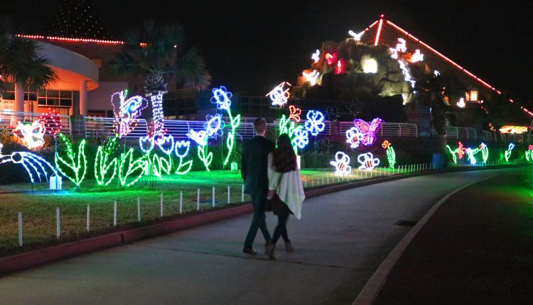 PHOTO: A couple walks through Moody Gardens Festival of Lights. Photo by The Signal reporter Emily Dundee.