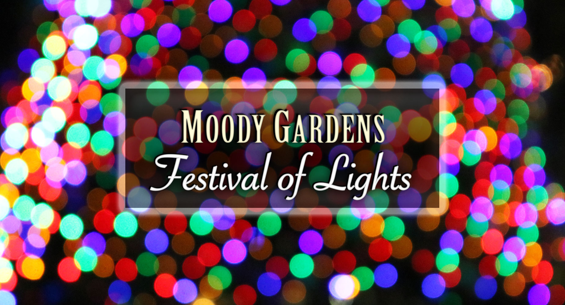 GRAPHIC: Blurred Christmas lights with text "Moody Gardens Festival of Lights." Graphic by Signal reporter Emily Dundee.