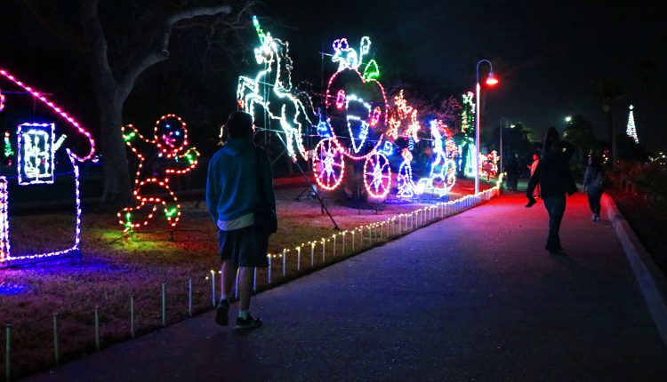 PHOTO: Spectators make their way around the Moody Gardens properties to view Christmas light displays. Photo by The Signal reporter Emily Dundee.