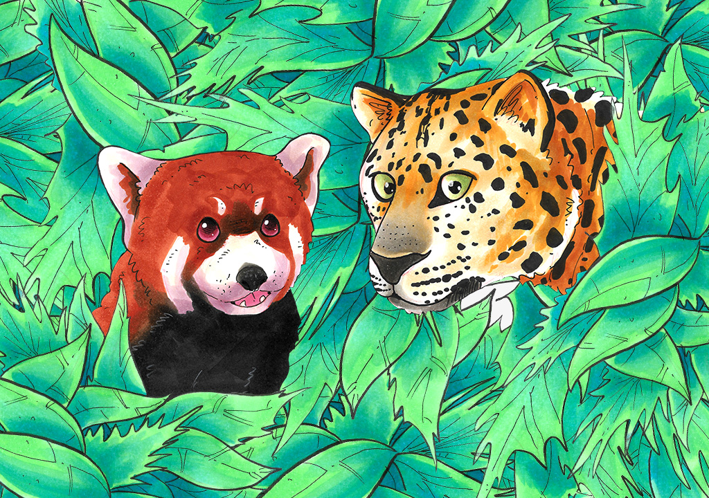 Graphic: Endangered species from around the world with leaves in the background.. Graphic and original art by Signal reporter, Alfonso Alvarez.