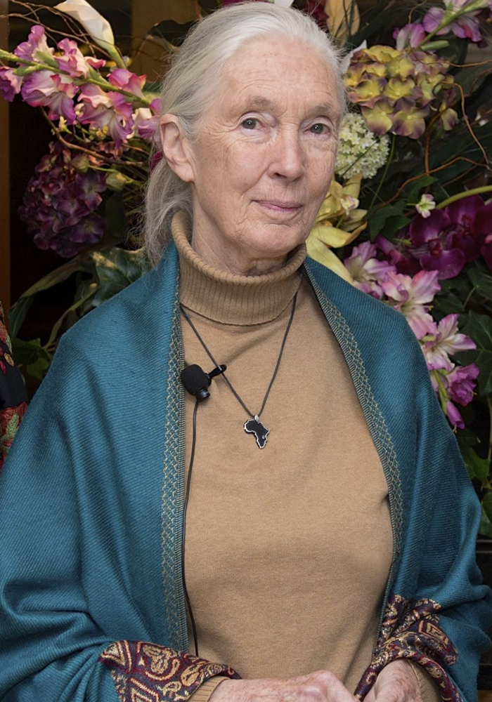 PHOTO: Jane Goodall in a blue shawl. Photo courtesy of the U.S. Department of State Department. SOURCE: https://commons.wikimedia.org/wiki/File:Deputy_Secretary_Higginbottom_Poses_for_a_Photo_With_Dr._Jane_Goodall_and_the_State_Department%27s_Global_Health_Diplomacy_Director_Jordan_in_Washington_(22365513310)_(2)_(cropped).jpg