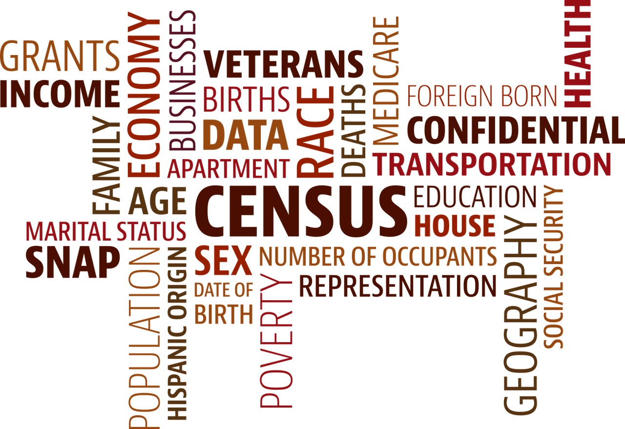 Graphic: Census data is represented by various words, including "census," "data," "number of occupants," "representation," "education," economy," "population," and other related terms, artfully arranged both vertically and horizontally alongside one another, each in varying font size and all different shades of warm colors. Graphic courtesy of 905513 via Pixabay.