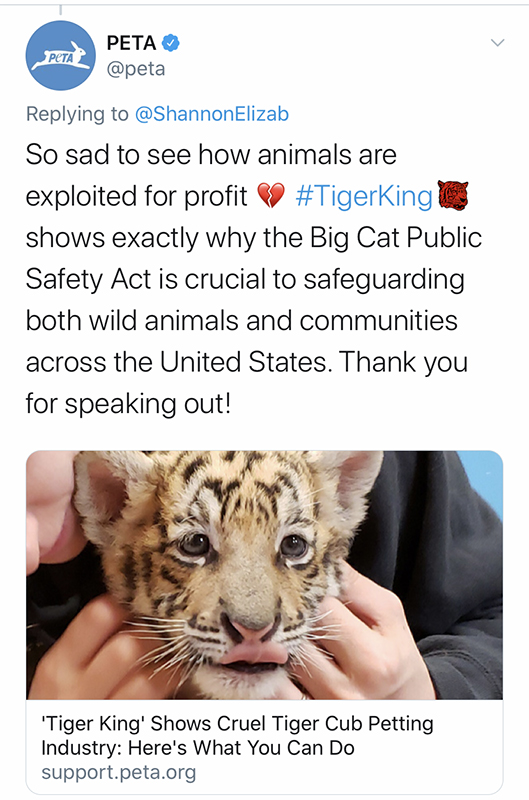 SCREENSHOT: PETA organization shows people why they should support the Big Cat Bill. Screenshot by the Signal reporter Jenna Schaub