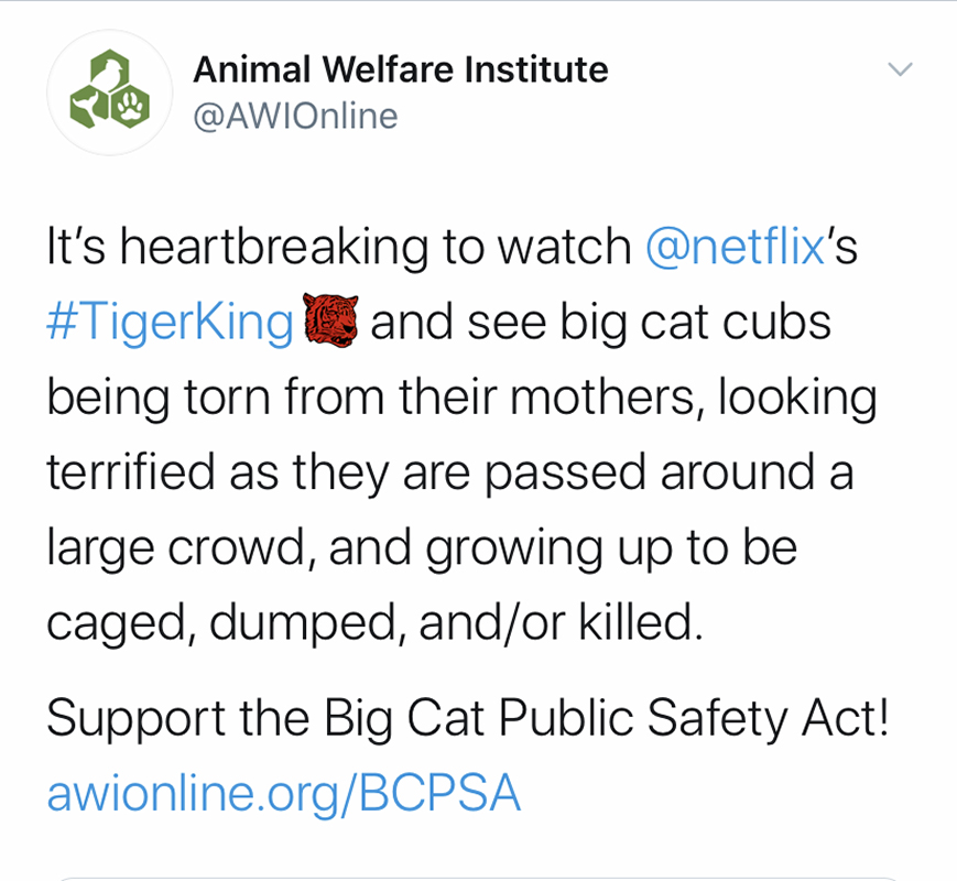 SCREENSHOT: Animal Welfare Institute organization showing support for the Big Cat Bill. Screenshot by the Signal reporter Jenna Schaub