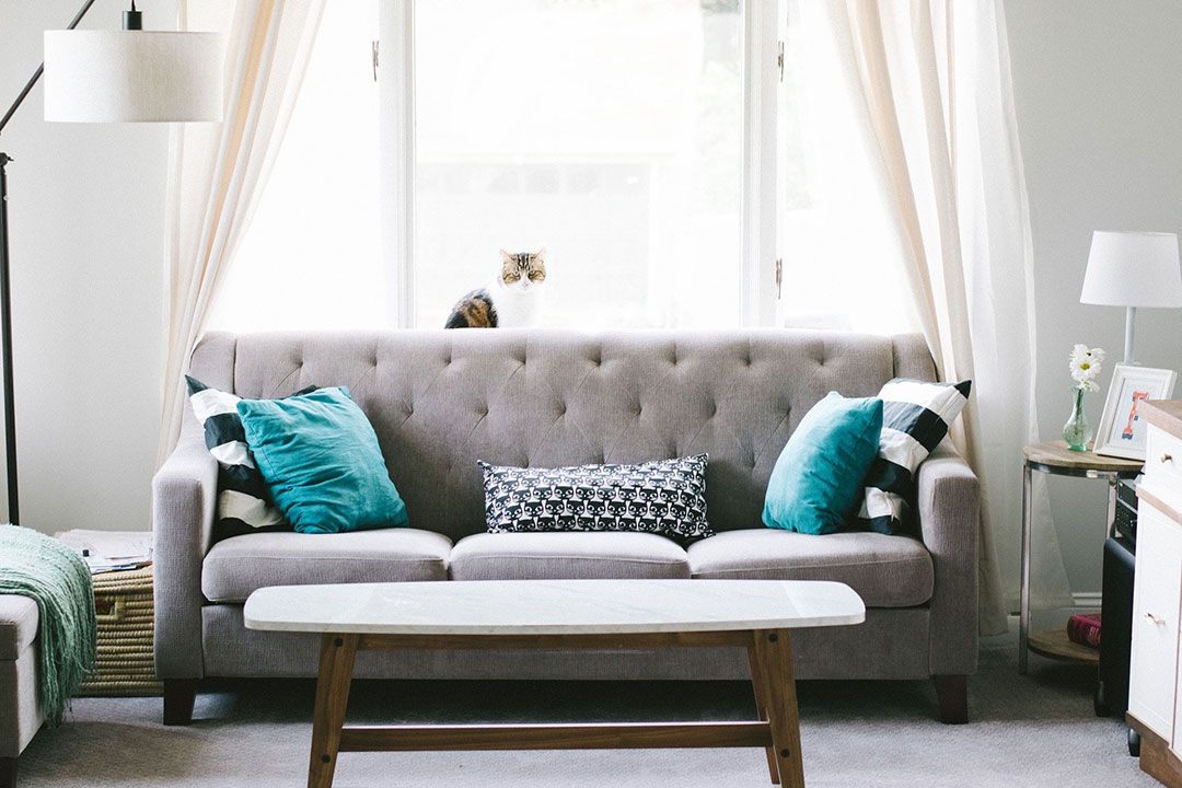 Photo: Photo represents furniture arrangement, showing a living room with a sofa, coffee table, side table, lamp and other decorative items. Photo courtesy of StockSnap via Pixabay.
