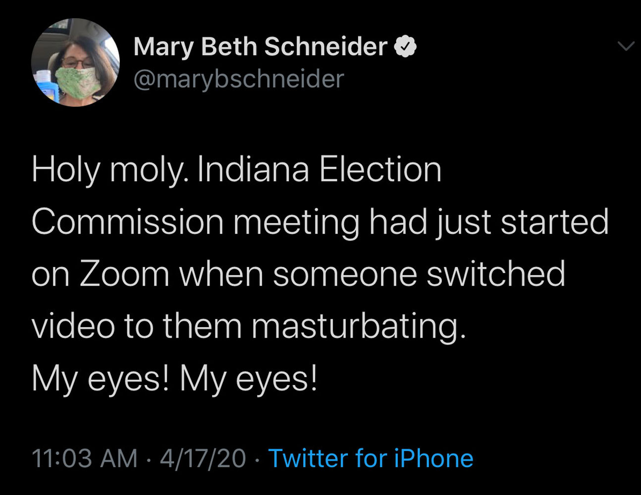 SCREENSHOT: Mary Beth Schneider editor of statehousefile.com tweeted that the Indiana Election Commission Zoom meeting was interrupted by somebody masturbating. Screenshot by The Signal reporter, Valery Rodriguez SOURCE: https://twitter.com/marybschneider/status/1251179490195185664