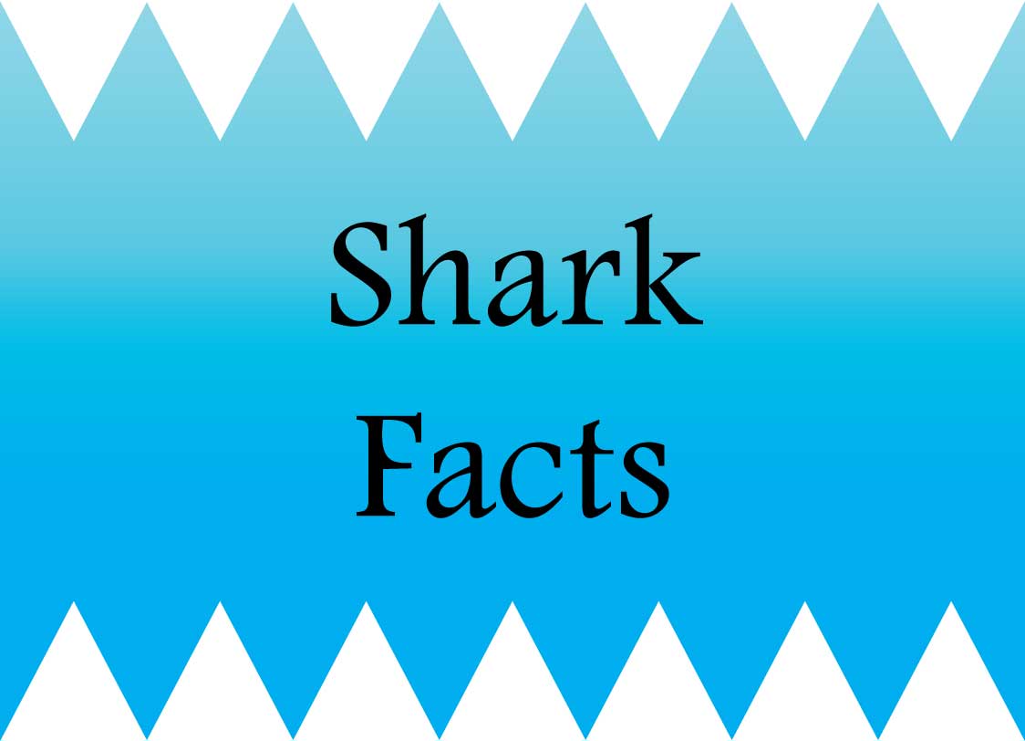 GRAPHIC: A rectangle with a blue gradient as the background. On the top and bottom are white triangles grouped together to represent shark teeth. In the middle of the graphic is the words 'Shark Facts'. Graphic by The Signal reporter Teagan Findler.