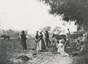 PHOTO: Over 14 slaves working on planting sweet potatoes. Some are tilling the land while others being supplies. Photo courtesy of the Creative Commons. SOURCE: https://en.wikipedia.org/wiki/File:James_Hopkinsons_Plantation_Slaves_Planting_Sweet_Potatoes.jpg