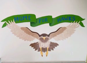 PHOTO: Image shows a hawk painted on a white wall with a green banner above the hawk saying "Home For Hawks." Photo courtesy of Matthew Perry.