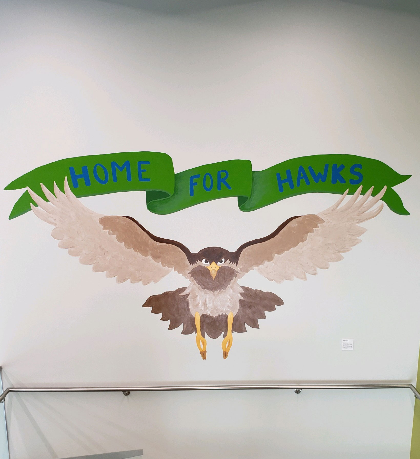 PHOTO: Image shows a hawk painted on a white wall with a green banner above the hawk saying "Home For Hawks." Photo courtesy of Matthew Perry.