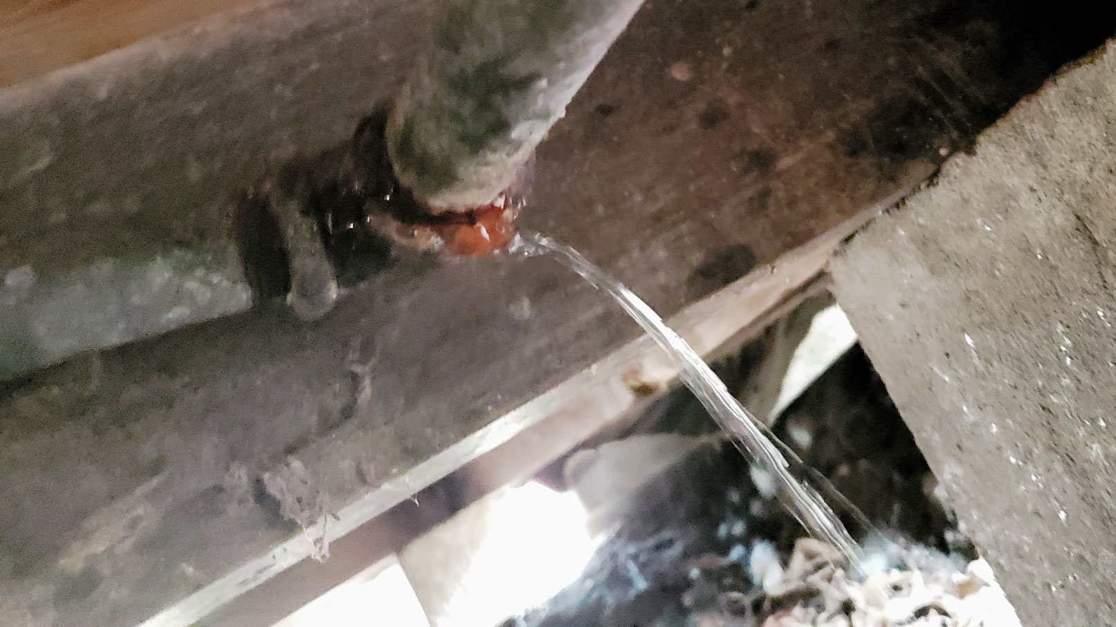PHOTO: Image shows a rusted pipe with water leaking out due to the pipe bursting. Photo by Stephanie Tanner.