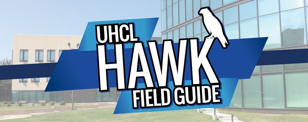 Masthead banner for The Signal's special edition Hawk Field Guide. The image features a side view of the Student Services and Classroom Building behind the words "UHCL Hawk Field Guide." Graphic created by Sam Savell for The Signal.