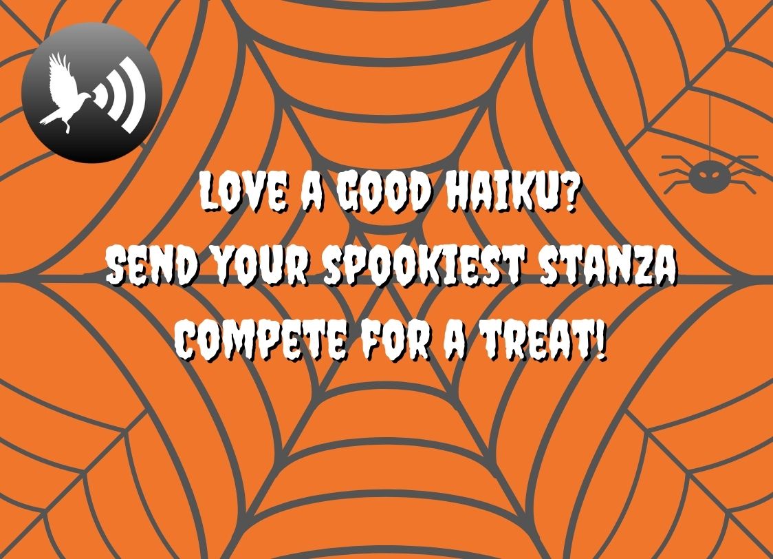 GRAPHIC: Orange background with grey spider web and spider, featuring The Signal's black and white logo and the words "Love a good haiku? Send your spookiest stanza, Compete for a treat!" Graphic created by The Signal Editor-in-Chief Miles Shellshear.