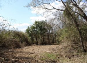 PHOTO: Flat area that has had all the vegetation removed. The area is still surrounded by trees and is marked with signs asking to not trespass.