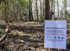 PHOTO: Signage at the Nature Trail asking hikers to not step in the project area