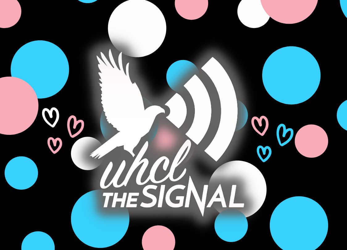 A hawk and a wifi symbol making up The Signal logo with circle and heart shape patterns in Trans Pride colors as the background.